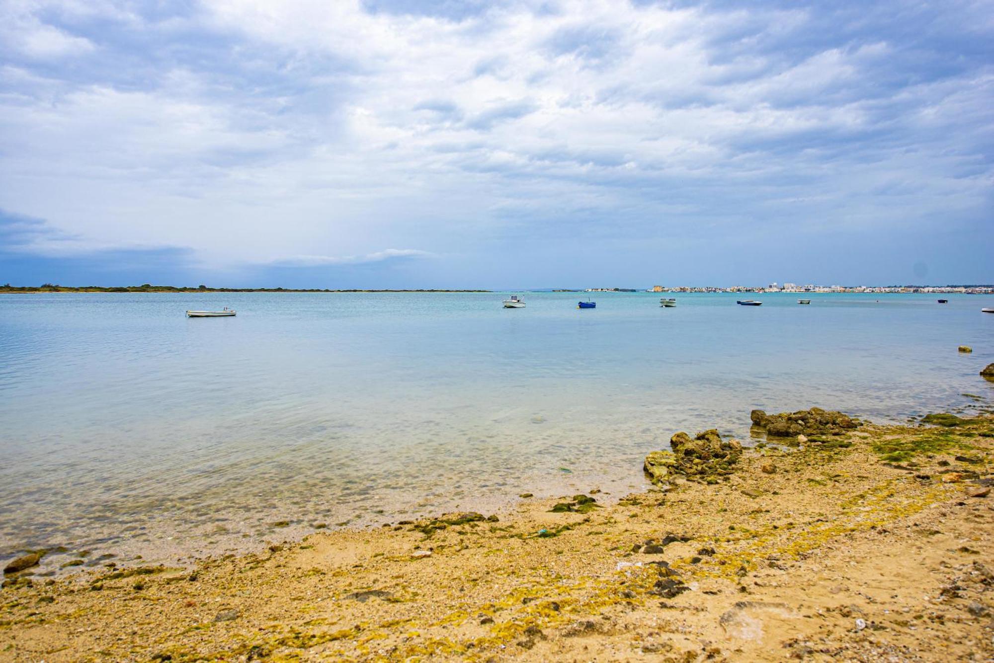 فيلا Casa Vacanze A 20 Metri Dal Mare بورتو سيساريو المظهر الخارجي الصورة